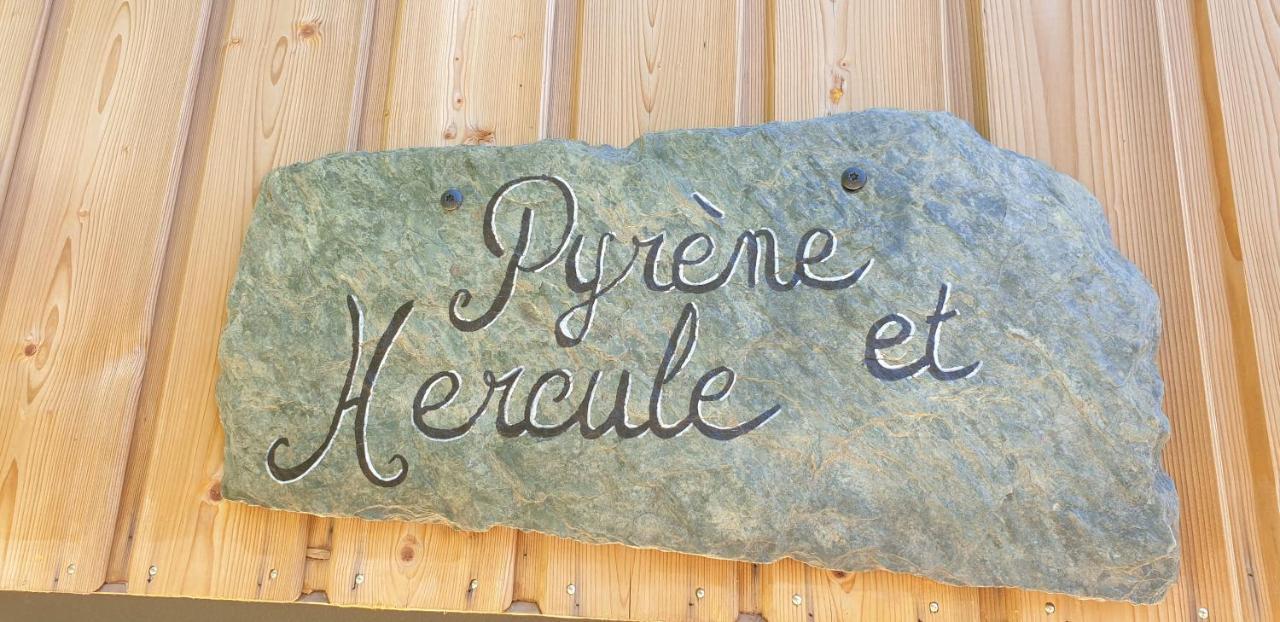 Le Chalet De Pyrene Et Hercule Arignac Exteriör bild